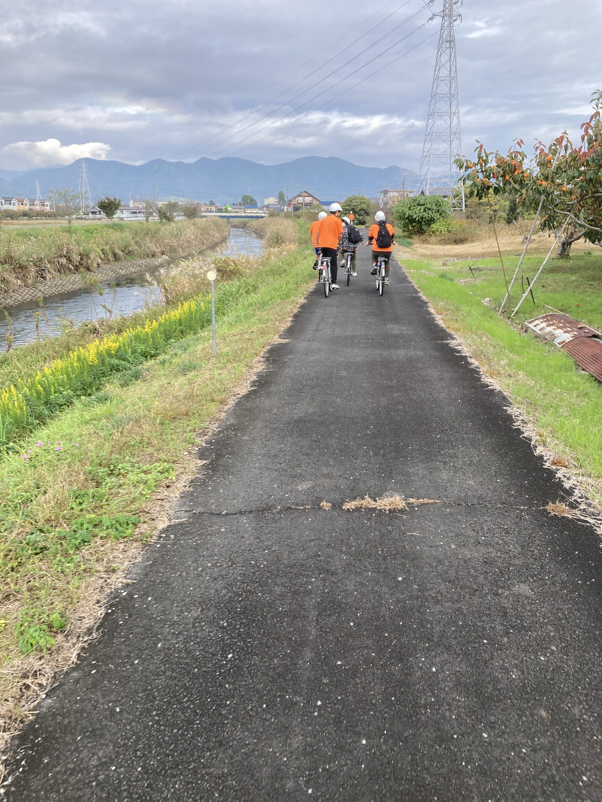 田舎道